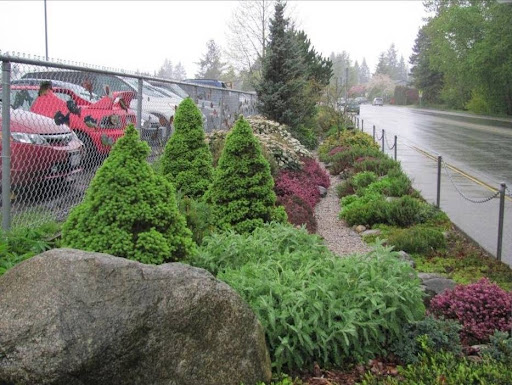 A Rain Garden Revisited - The Nature Trust of British Columbia