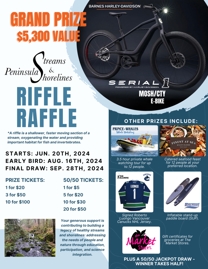 Copy of NEW Riffle Raffle Poster 2024