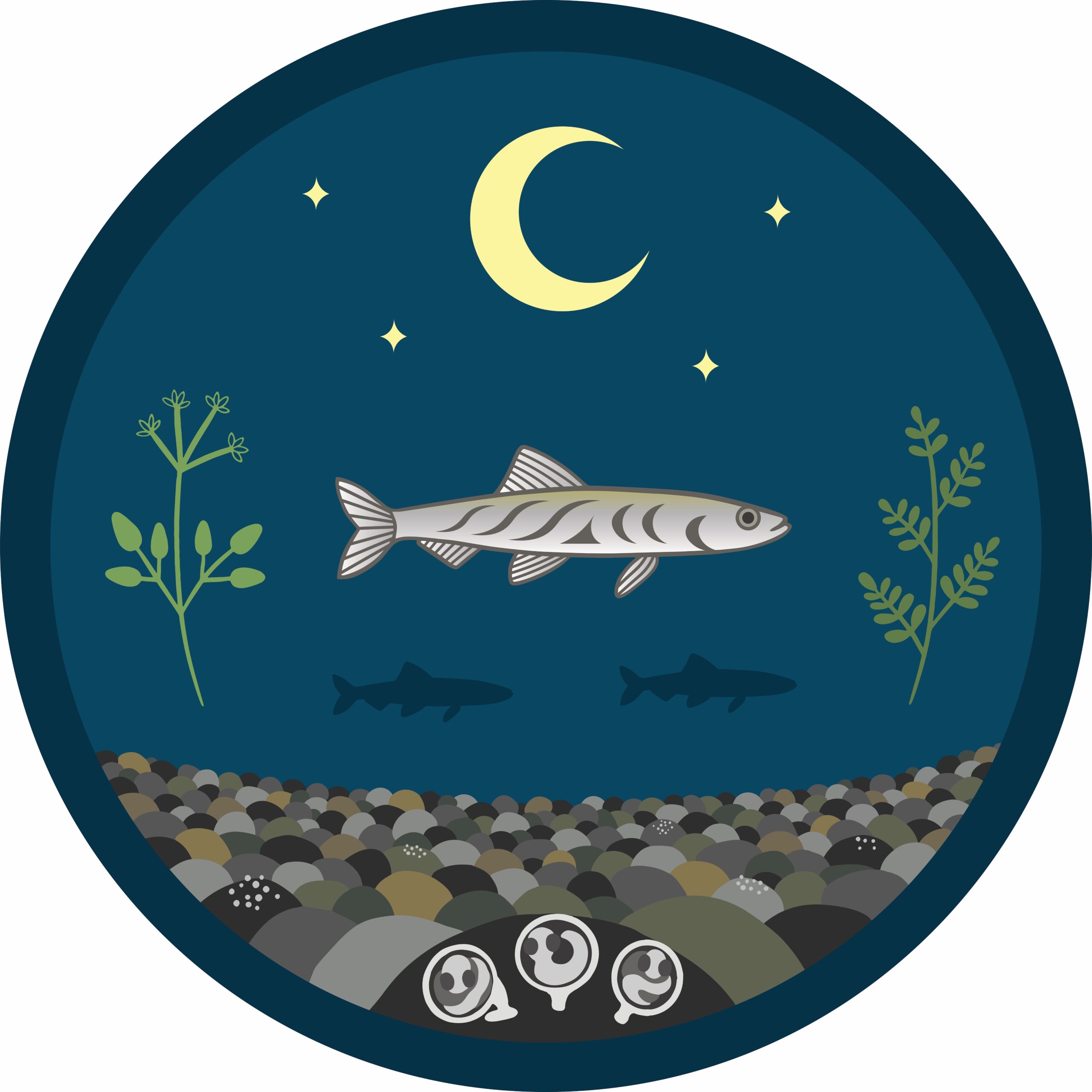 surfsmeltlogo