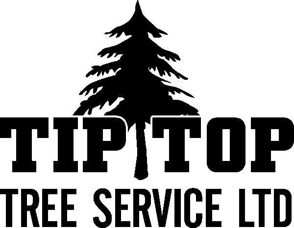 TipTop-Tree-logo