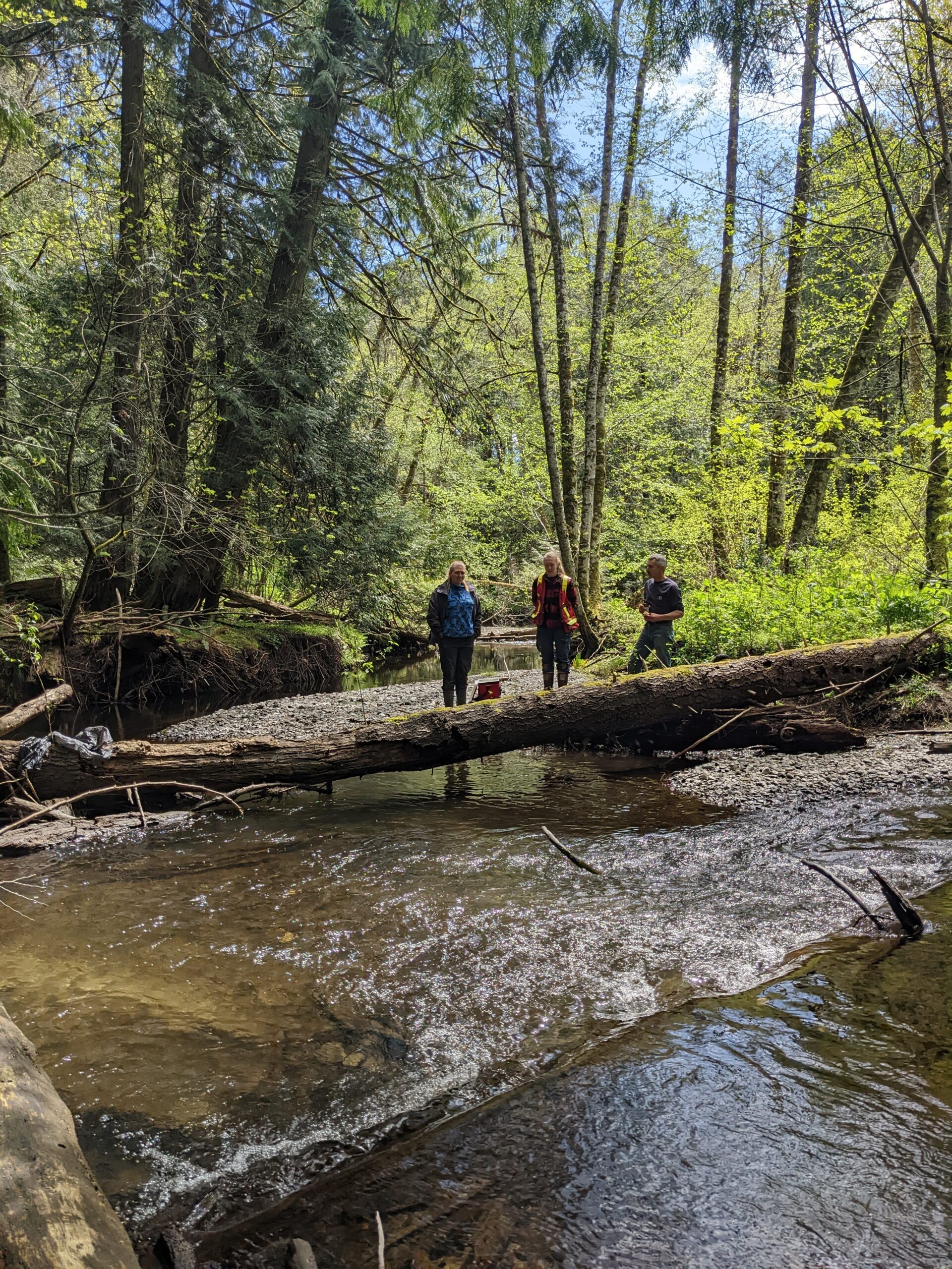 PXL_20230426_201324258.MP