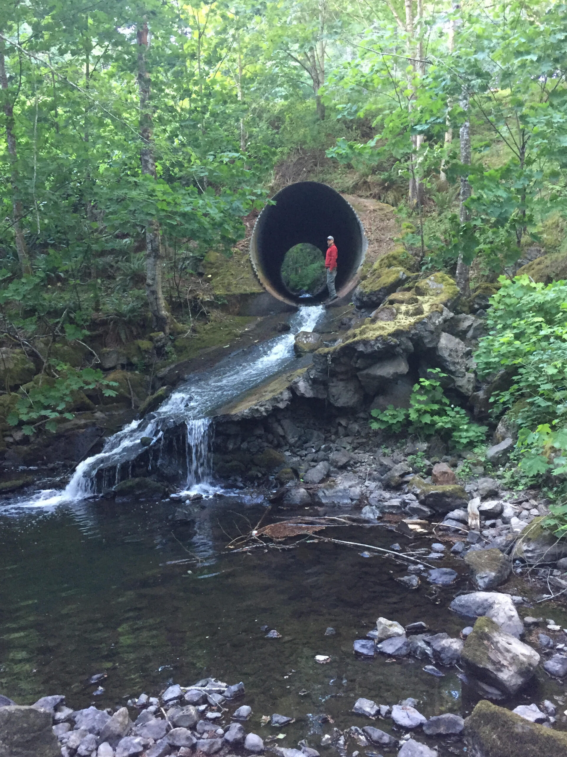 Benin Culvert Atkins Rd - Millstream