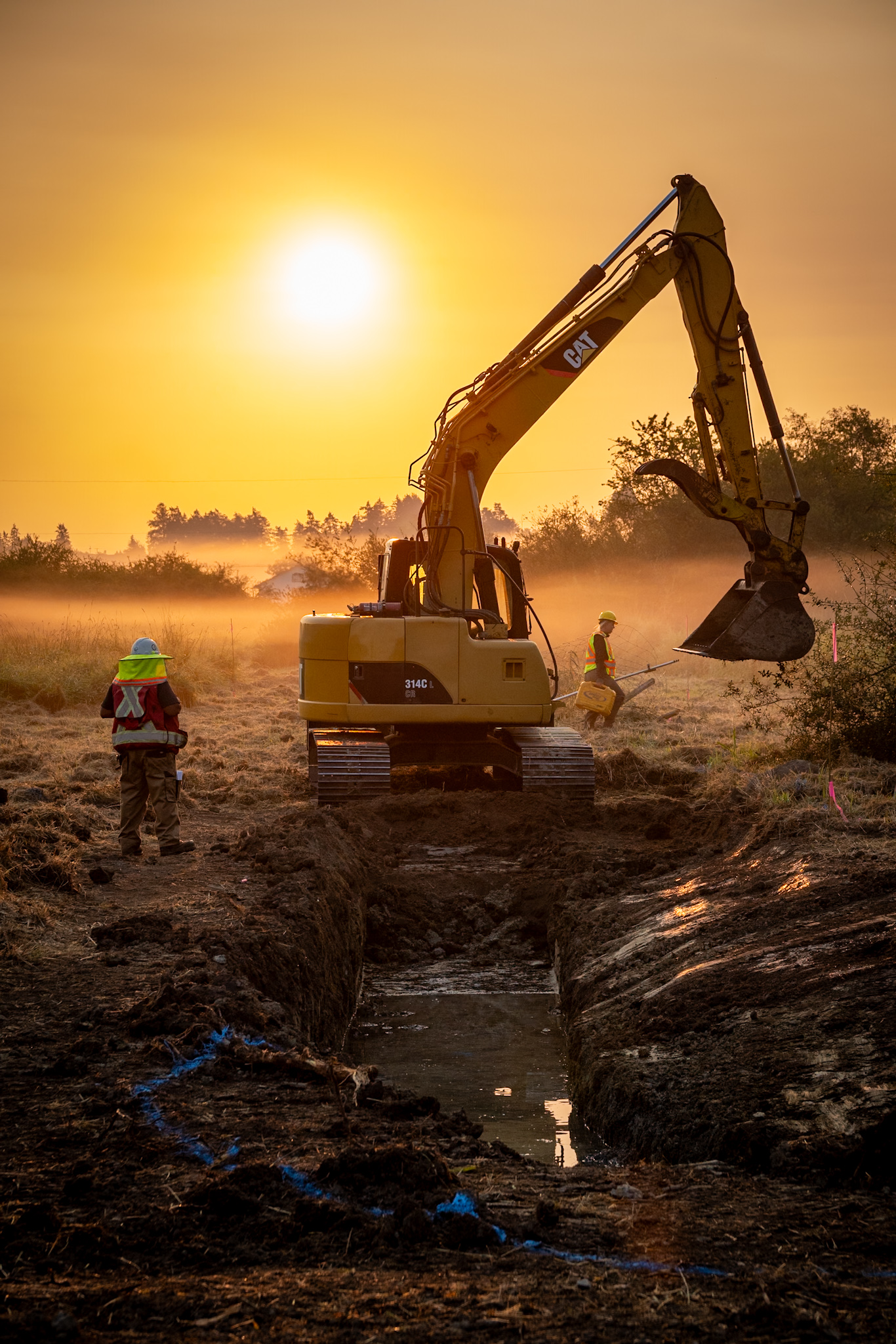 Photo by Dave Elliott