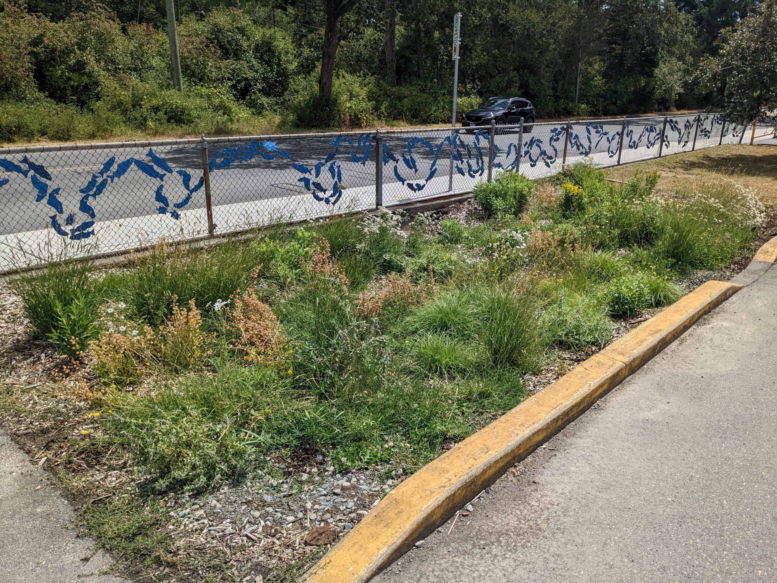 PXL_20230725_200959161.MP