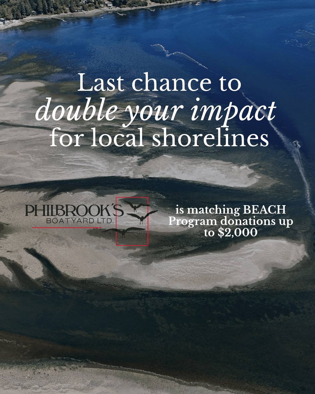 BEACH Fundraiser Social Media Post