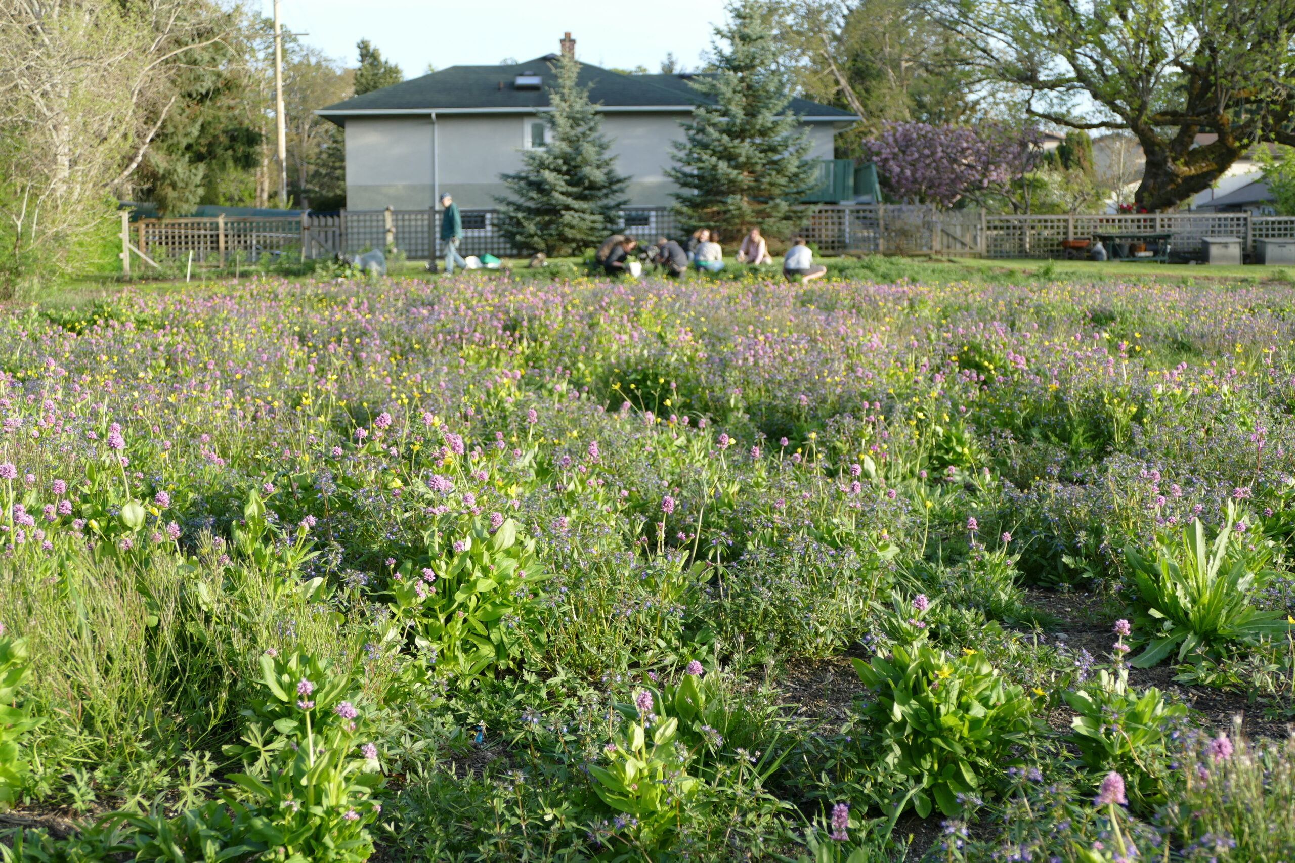 P1050019