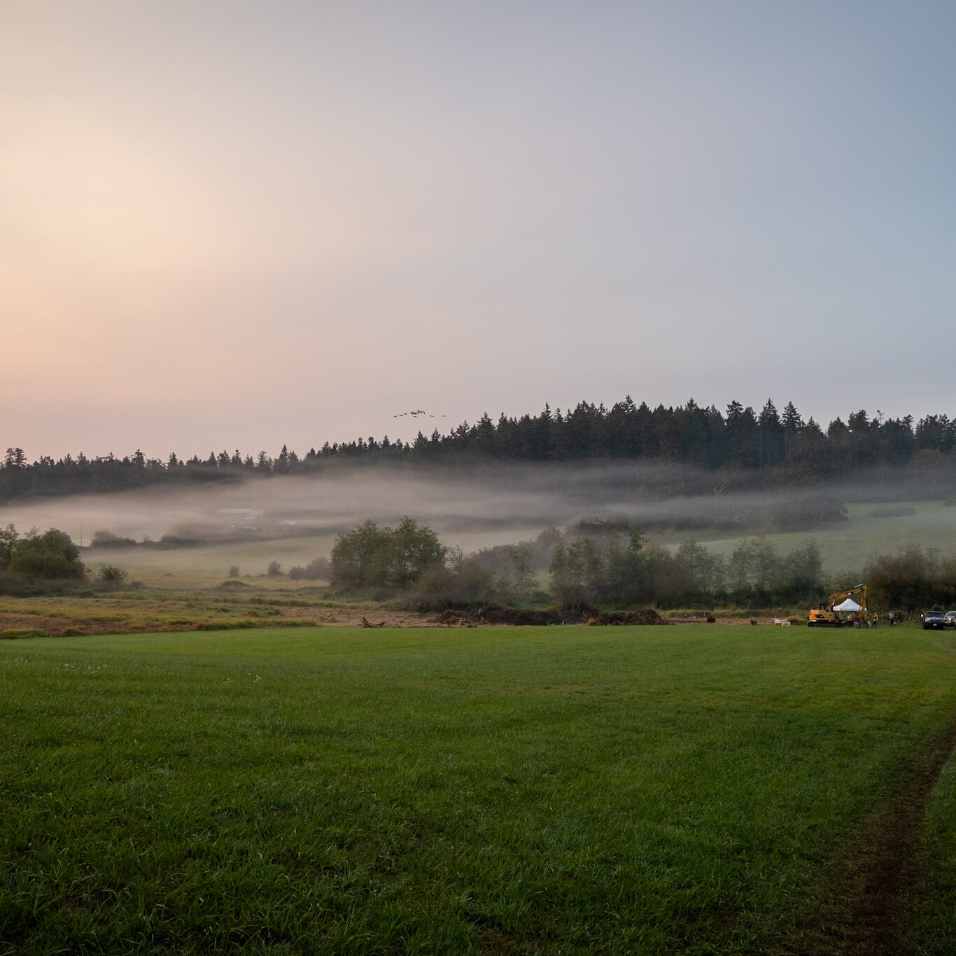 Photo by Dave Elliott