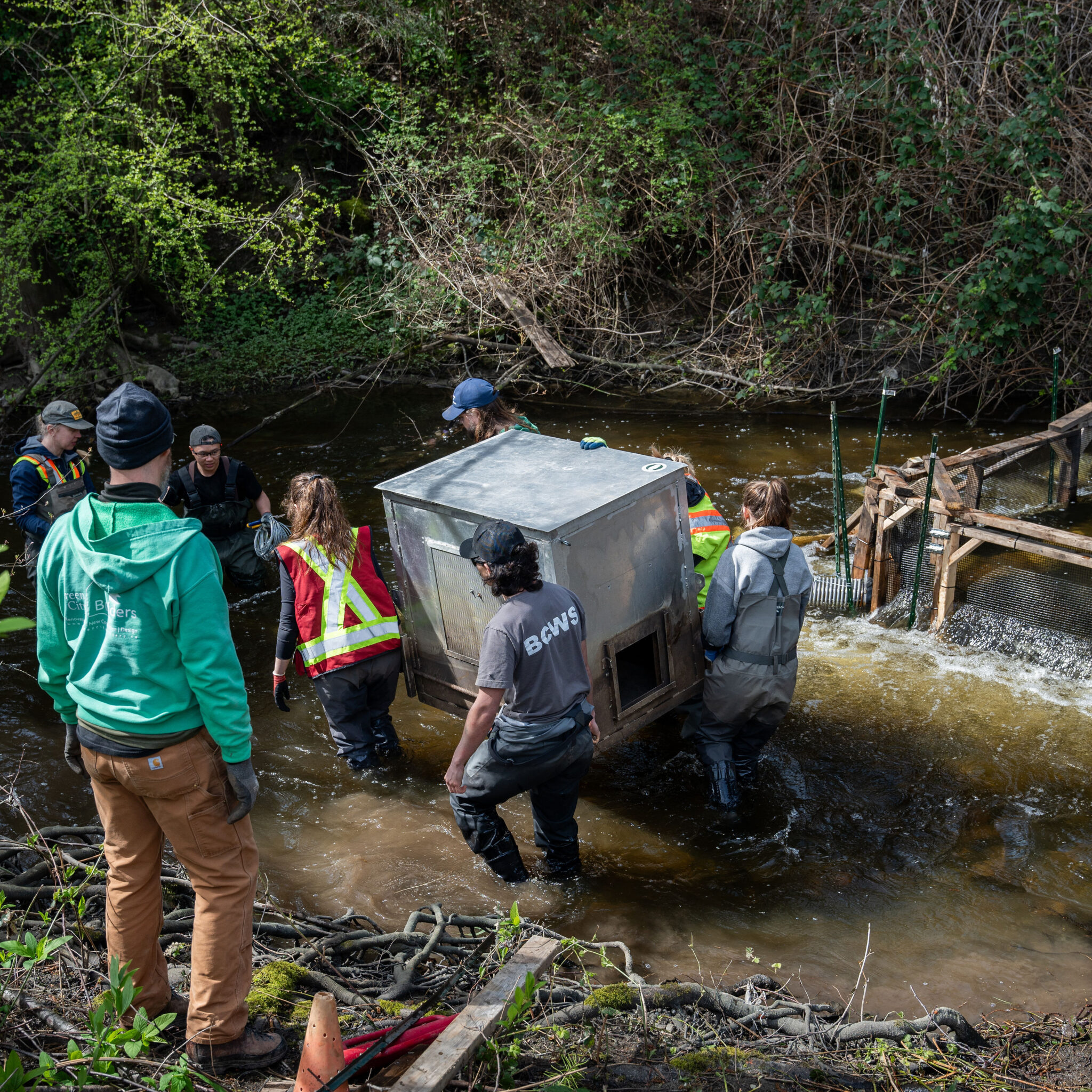 PeninsulaStreams&Shorelines-10