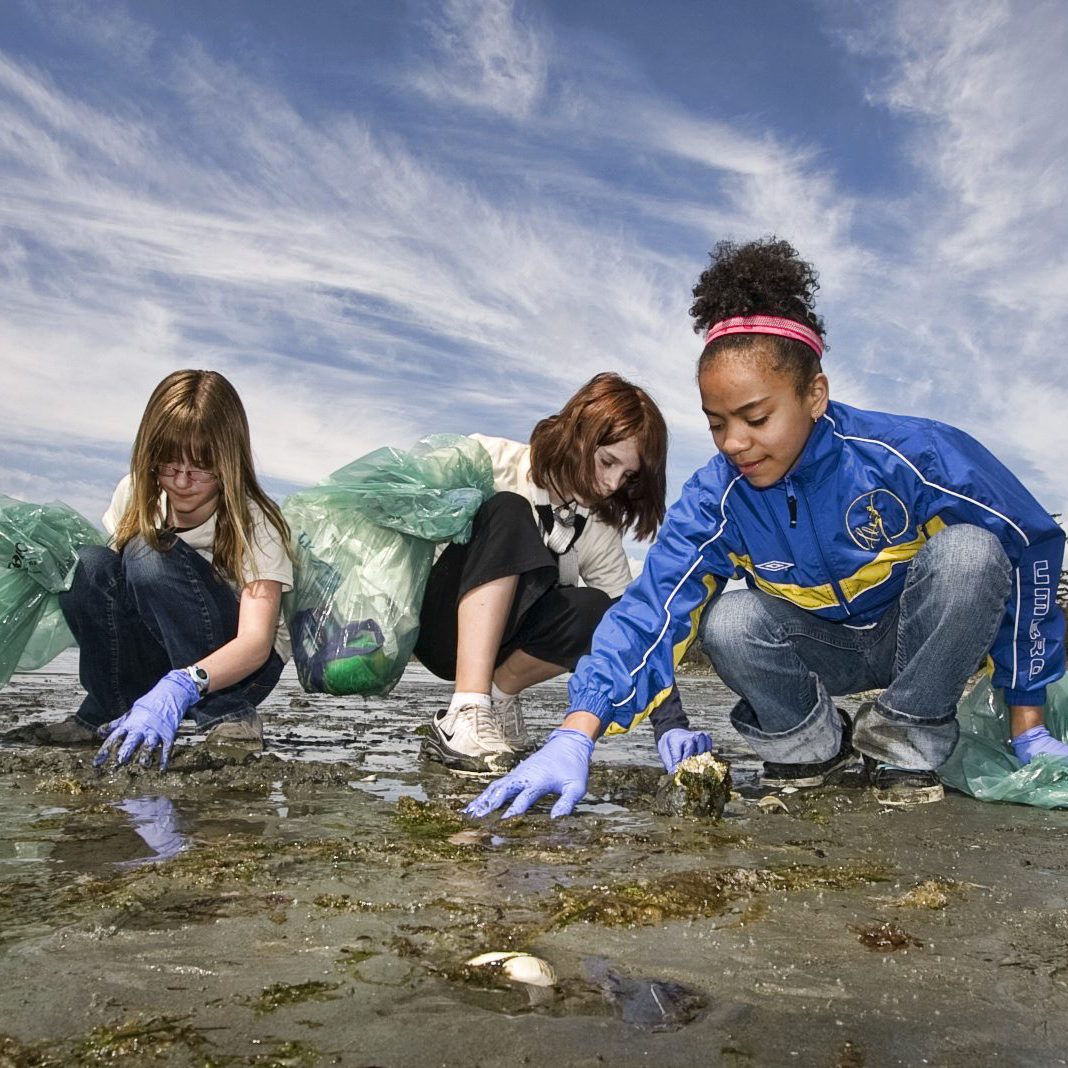 VICTORIA, B.C.: APRIL 22, 2009 -North Saanich Middle School students(left to right)Fiona Kelley, Kali McDougall and Quiana Foster sift through the sand to pick up garbage from Patricia Bay in Victoria, B.C. April  22, 2009.  'Creatures of HabitatÍ Day of Action 2009 is timed with Earth Day. This event involves 700 Grade 6 students from School District #63, as well as over 100 volunteers: high school and university students, seniors, non-profit organizations and corporations. (DARREN STONE, TIMES COLONIST). For City story by Lindsay Kines