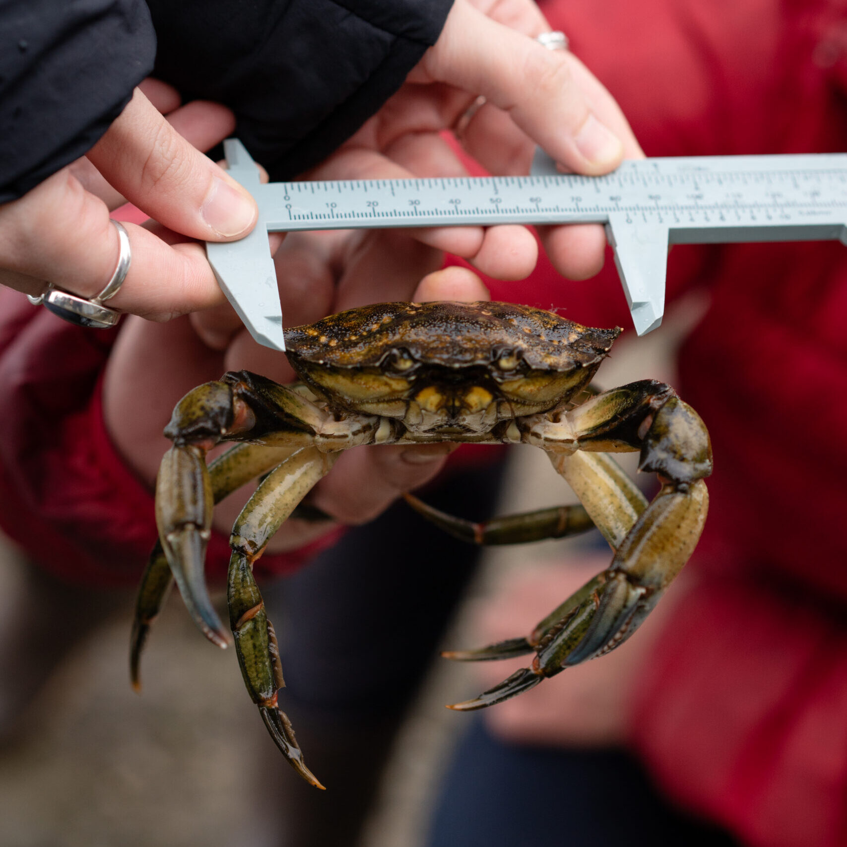 Photo by Nikkey Dawn