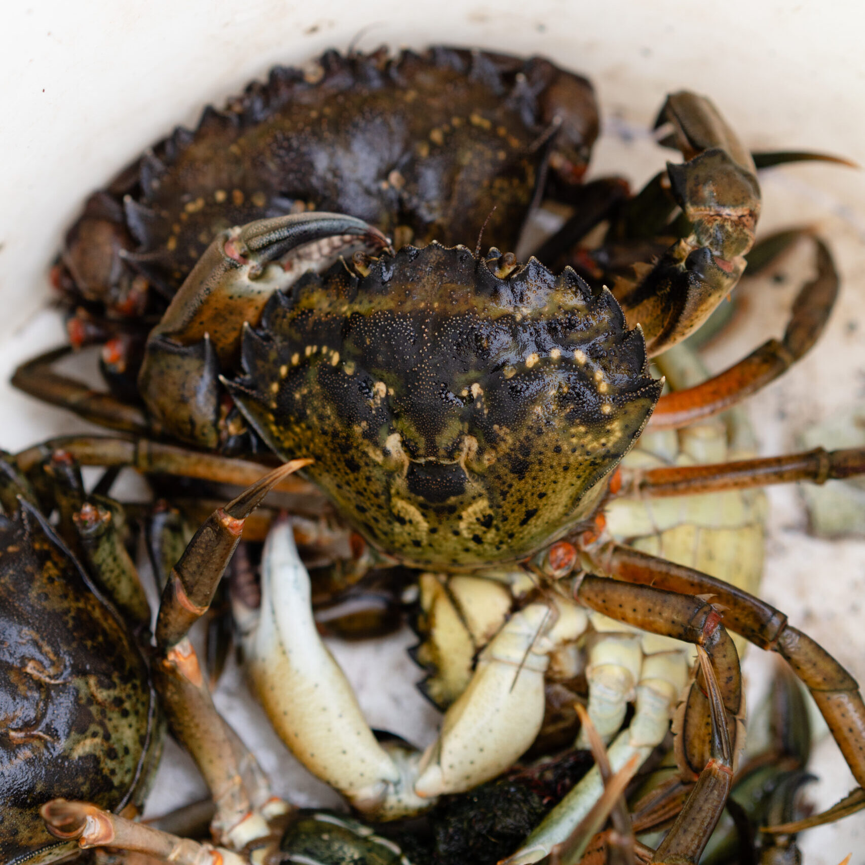 Photo by Nikkey Dawn