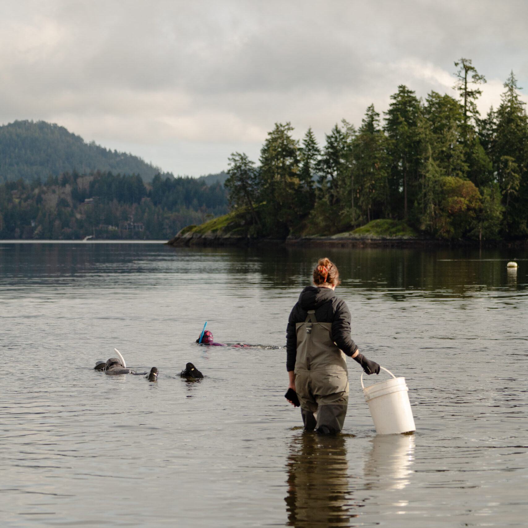 Photo by Nikkey Dawn